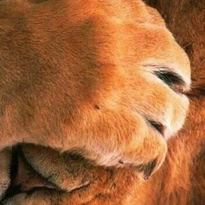 Meet your Posher, Leah